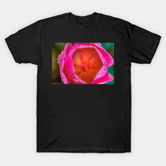 Top view of a tulip T-Shirt by blossomcophoto